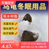Товары от 宠小帅旗舰店