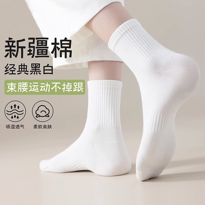 2025年11月01日更新【万能白菜价】的图片 第12张