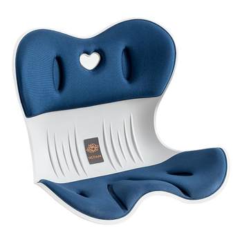 
NGT 10th generation waist protection cushion Japanese petal cushion