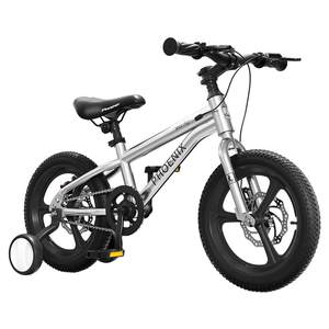 
Boutique Phoenix children's bicycle 3 to 6 years old boys and girls 8-10-12 years old lightweight student riding bicycle