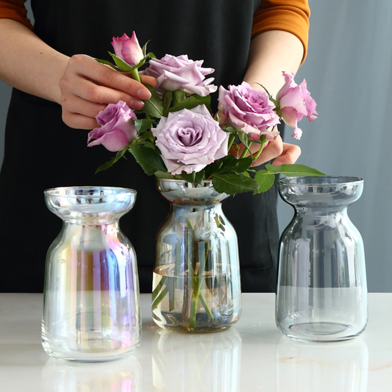 乐之沭 极光幻彩渐变简约小花瓶玻璃插花花器水培植物玻璃瓶日式桌面摆件