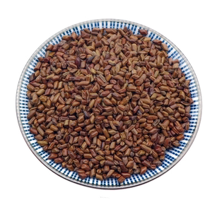 
Raw Cassia Seeds Pure Cassia Seeds Bulk Toy Sand Large Grain Grass Cassia Pillow Inflatable Pool Sand Pillow Core Sulfur-Free