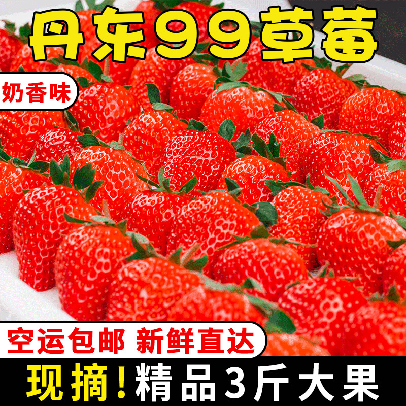 丹东99草莓3斤新鲜水果孕妇红颜奶油牛奶草莓东港九九大草莓礼盒