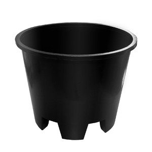 
Large flower pot blueberry pot black currant pot green rose round succulent flower pot large diameter vegetable pot plastic