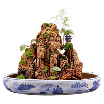 Natural water-absorbing stone bonsai raw stone