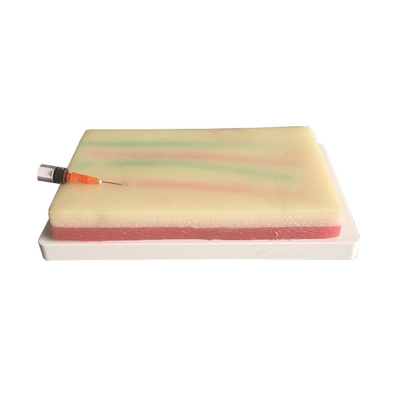 Scicalife - 2 Cuscini Per Iniezione Plastica Per Addestramento Infermieristico, Modello Pelle Umana In Silicone Per Esercitazioni Intramuscolo