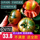 Аутентичный железо -кожа -кив