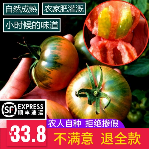 Аутентичный железо -кожа -кив