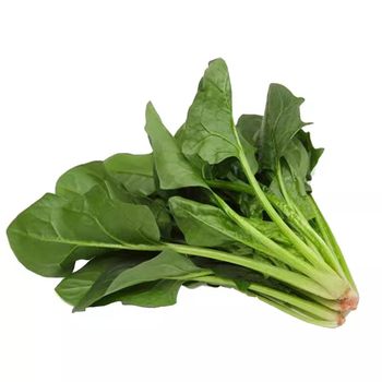 Collection of seasonal vegetable seeds for sowing in four seasons