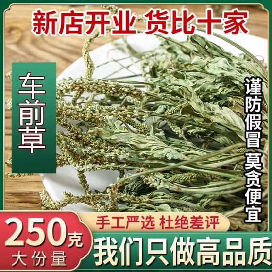 云南野生中药材车前草500g精选一级天然无硫车前草茶新鲜干货泡水