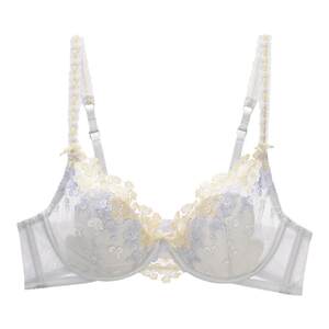 
Six Rabbits Lace Underwear Women's Small Breast Push-Up Bra to Shrink Secondary Breasts and Prevent Sagging Sweet Girly Style Bra Set