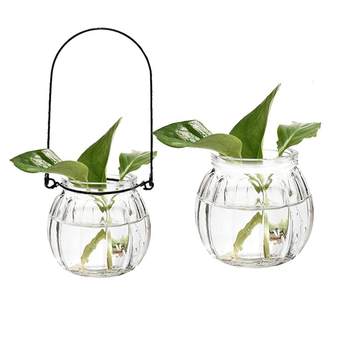 Personalized glass pumpkin simple style water cultivation home decoration