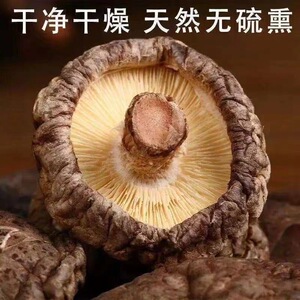随州香菇干货净重250g煲汤炒菜