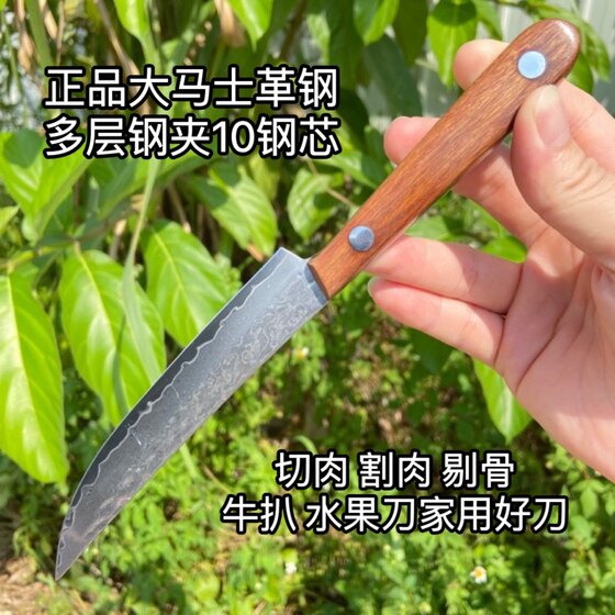 正品大马士革67层钢10钢芯水果刀家用多功能厨房瓜果刀剔骨割肉刀