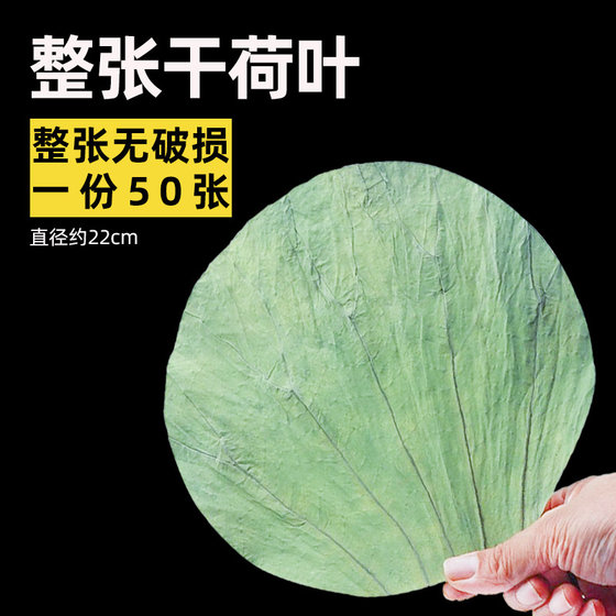 荷叶整张干荷叶片正宗包邮新鲜干何叶中药材糯米鸡叫花鸡专用荷叶