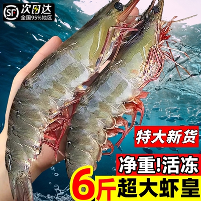 2026年3月2日更新【万能白菜价】的图片 第32张