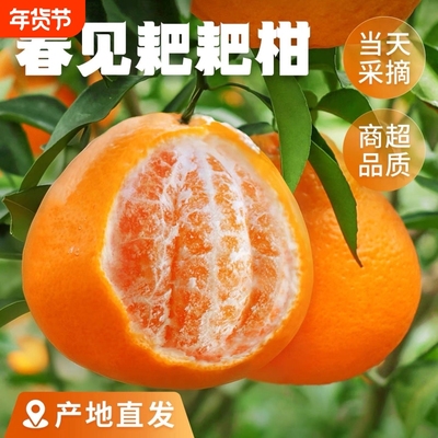 2026年1月13日更新【万能白菜价】的图片 第11张