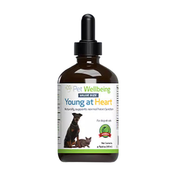 
Pet Wellbeing Pets Liver Joints Liver Milk Thistle Health Products Pet Maintenance Cats Dogs Heart Breathing