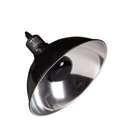 Reptizoo climbing tank and pet lampshade