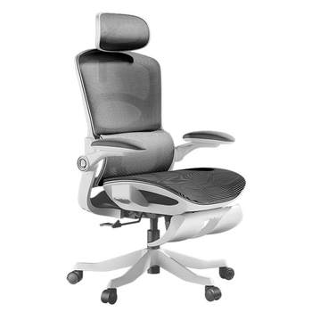 [New Black and White P2Pro] Backrest Engineering Chair