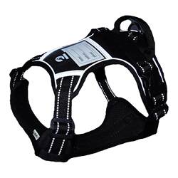 Large dog leash harness explosion-proof and adjustable