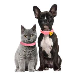 Dog Dog Remoral collar cat collar removing flea anti -lice and flea medicine cat ring pet neck supplies