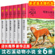 导盲犬迪克沈石溪正版动物小说全集系列全套6册6-7-10-12岁白天鹅红珊瑚白象家族黑天鹅儿童四五六年级小学生课外阅读全套书籍