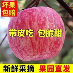 【下拉14.07】4.5斤山西红富士苹果75-80mm