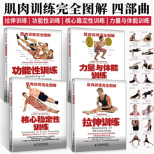 Обучение мышцам Полное рисунок Полный 4 объема мощности и спортивных тренировок растягивание тренировок по стабильности.
