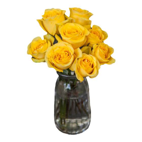 
Spend some time yellow rose flowers Yunnan base hair straightening water nourishing home vase indoor quality fresh cut bouquet delivery