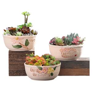 Large succulent pot ceramic creative simplicity, large -diameter coarse pottery succulent plants platter combination special offer clearance