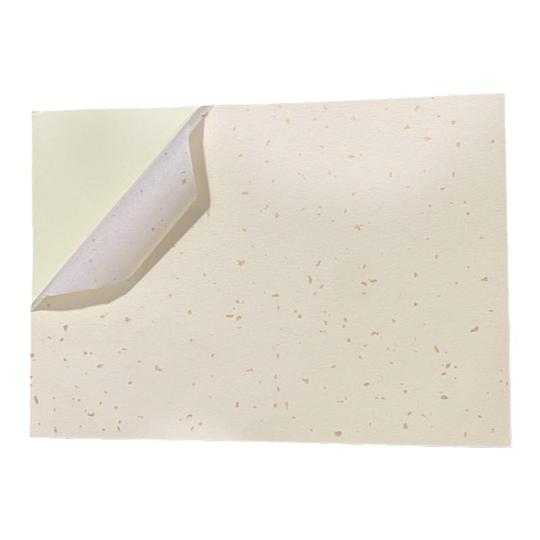 Carta Adesiva Vinile A4 - 30 Fogli Bianco Opaco, Per Stampanti, Impermeabile