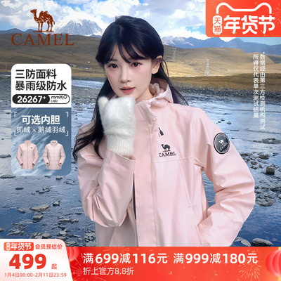 2026年1月115日更新【万能白菜价】的图片 第6张