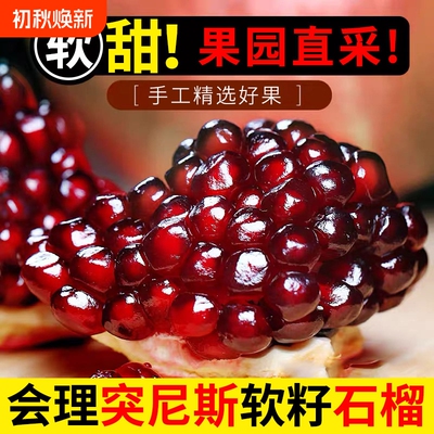 2026年8月31日更新【万能白菜价】的图片 第4张