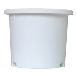 Alice Deepot Simple Nordic Resin Control Genlon Pot Green Loosani Globe Rose Plastic Plastic Plaster Basin