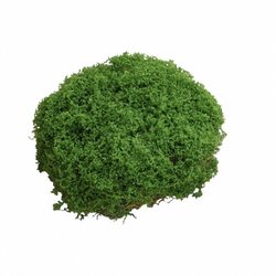 Fake moss micro landscape cloth bonsai pot plant paving