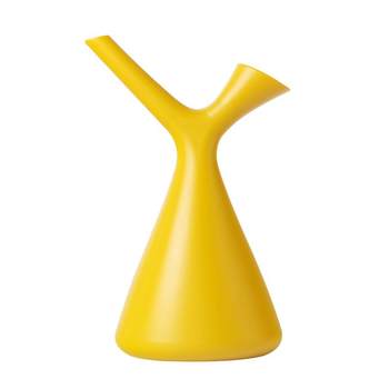 Spray pot Pour flower spray pot, poly meat pouring flower pot
