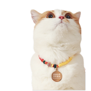 Cat collar cat engraved word anti -lost pet custom puppy tag name neck ring cat ring necklace necklace