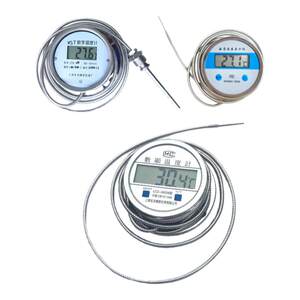 
Shanghai Jinlong Digital Thermometer WST491 with Probe Acid and Alkaline Anti-corrosion Anti-corrosion Stainless Steel Heat Testing Water Drilling Machine