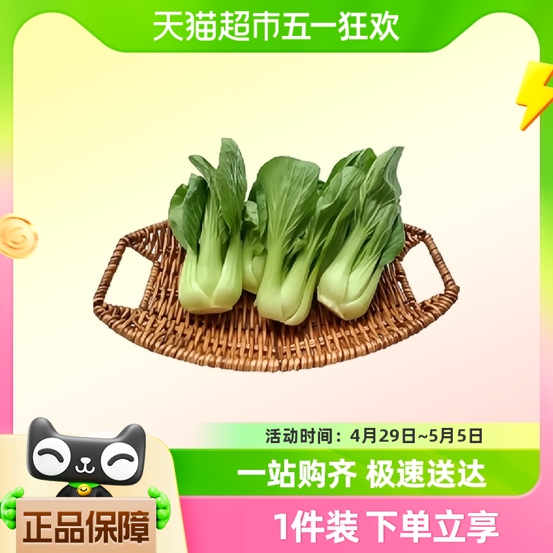 天猫超市 云南小青菜4斤新鲜现摘顺丰包邮
