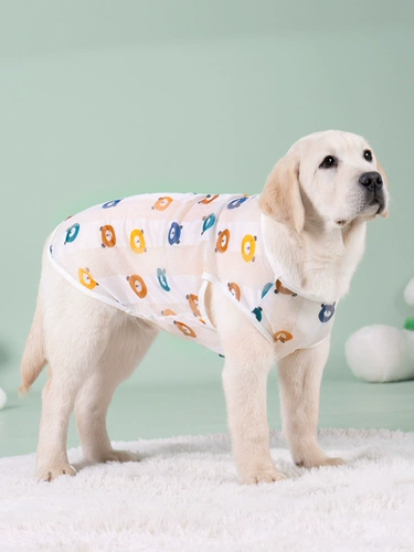 Одежда для любимых собак лето тонкая золотая ретрада саммир пограничной пастух пастух пастух на солнце