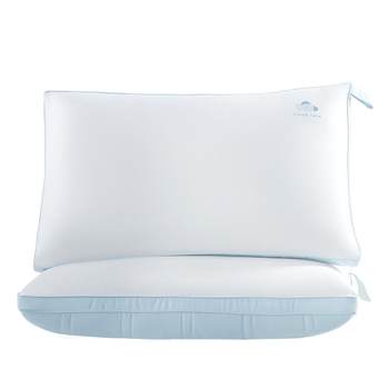 Mercury waterproof, oil-proof and stain-proof pillow core