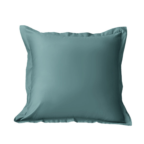 100-s count s long-staple cotton mother-and-baby grade Class A pillowcase without core core-free full living room sofa light luxury high-end pillowcase