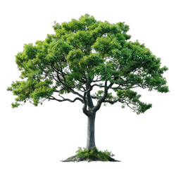Indoor landscape landscaping high-end artificial tree horse drunken wood
