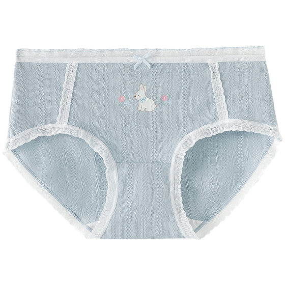 [All Girls’ Wardrobe Live Room] Caramela Women’s Small Animal Series Cute Underwear Gift Box