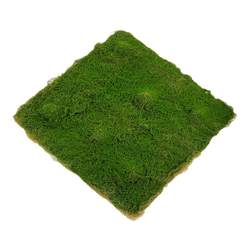 Simulated moss artificial moss green plant landscape