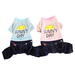2025 new spring and autumn handsome cotton dog clothes
