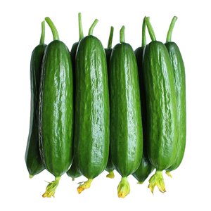 High seeds of fruit cucumber produce drought cucumber in spring and autumn vegetable garden balcony four seasons new varieties of vegetable seeds