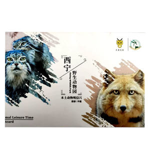 
Action Galileo Xining Safari Animal Star Postcard Card Set