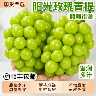顺丰包邮【阳光玫瑰净重4.5斤单果6-8g】